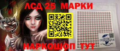 a pvp Кингисепп