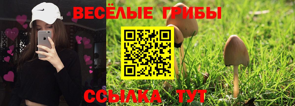 Псилоцибиновые грибы Cubensis  Галлюциногенные грибы GOLDEN TEACHER  где продают наркотики  Воскресенск  Вход с VPN 