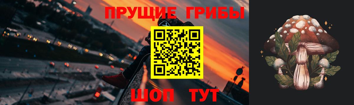 Галлюциногенные грибы мицелий Воскресенск